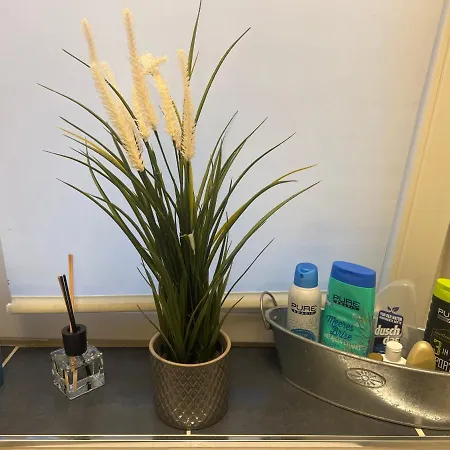 Sweet Inside One Dresden