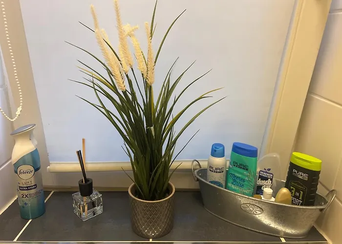 Sweet Inside One Dresden