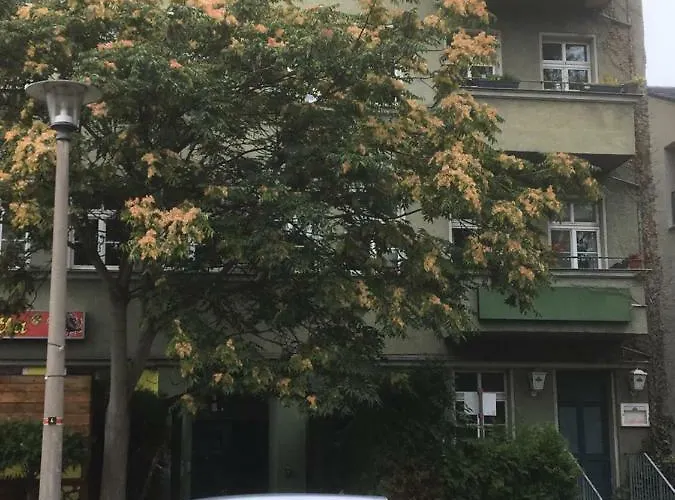 Sweet Inside One Dresden